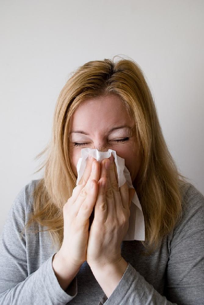 Alergia na zwierzęta – skąd się bierze?